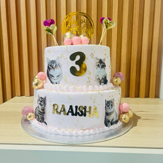 Cat/Kitty theme cake